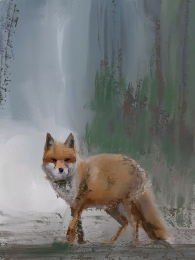 Fox (digital in Infinite Painter)